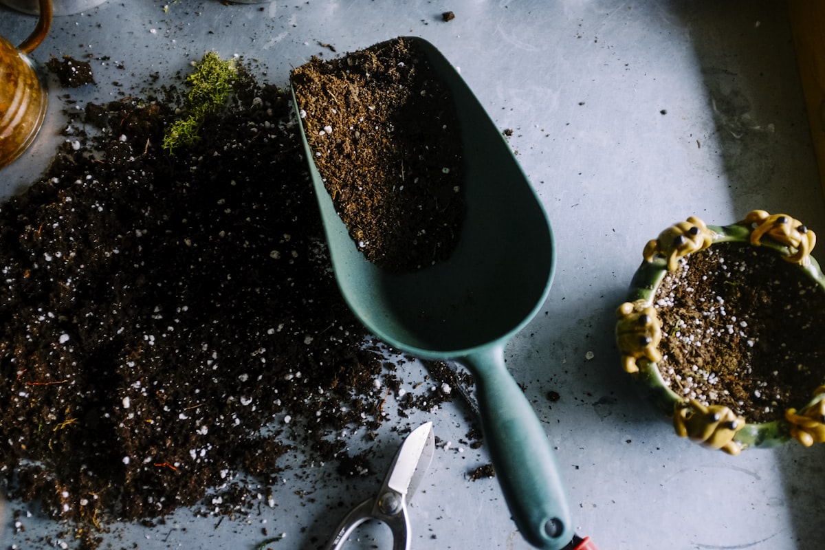 Le jardin potager urbain, entre utopie et pragmatisme
