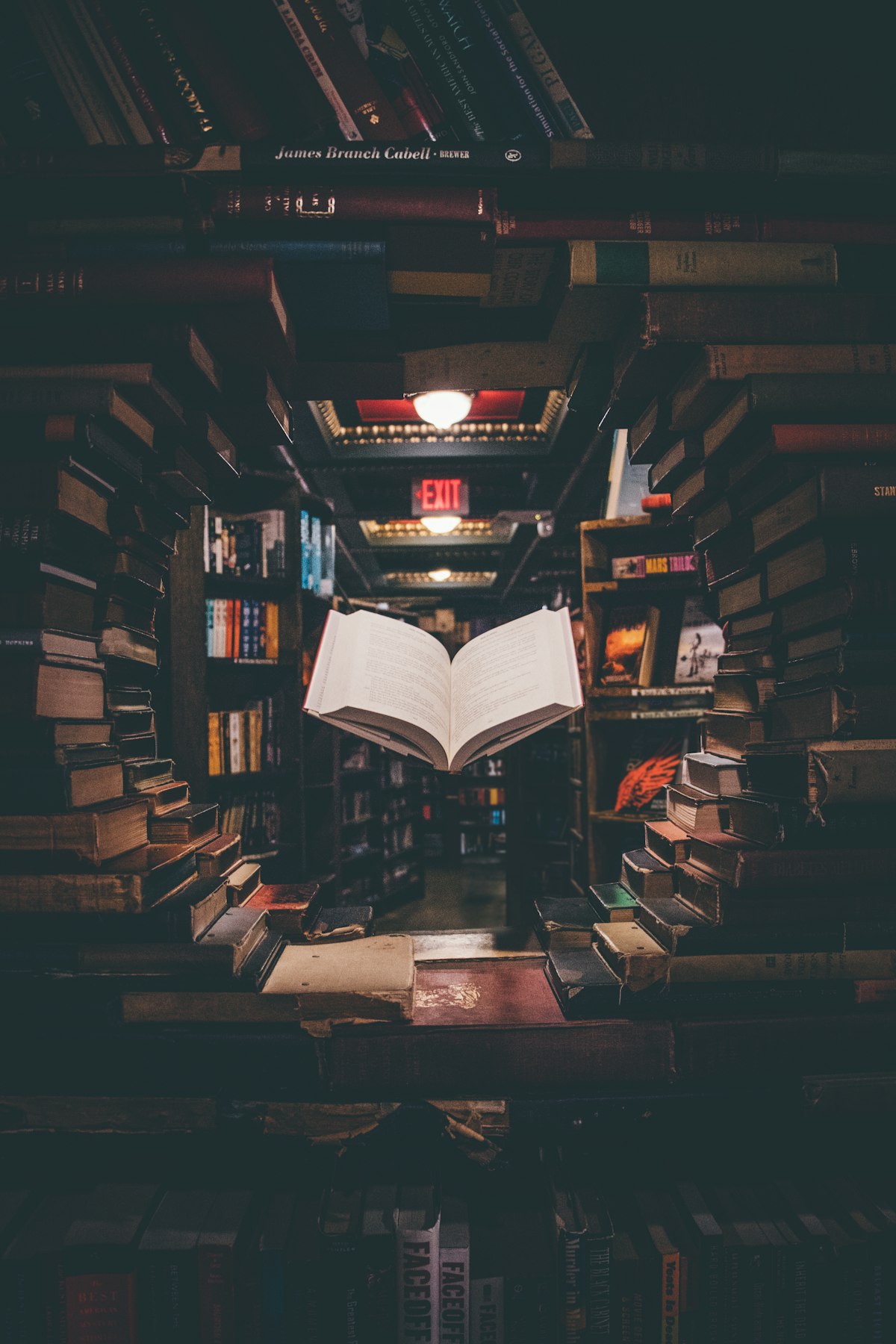 Librairies indépendantes : la résistance dure