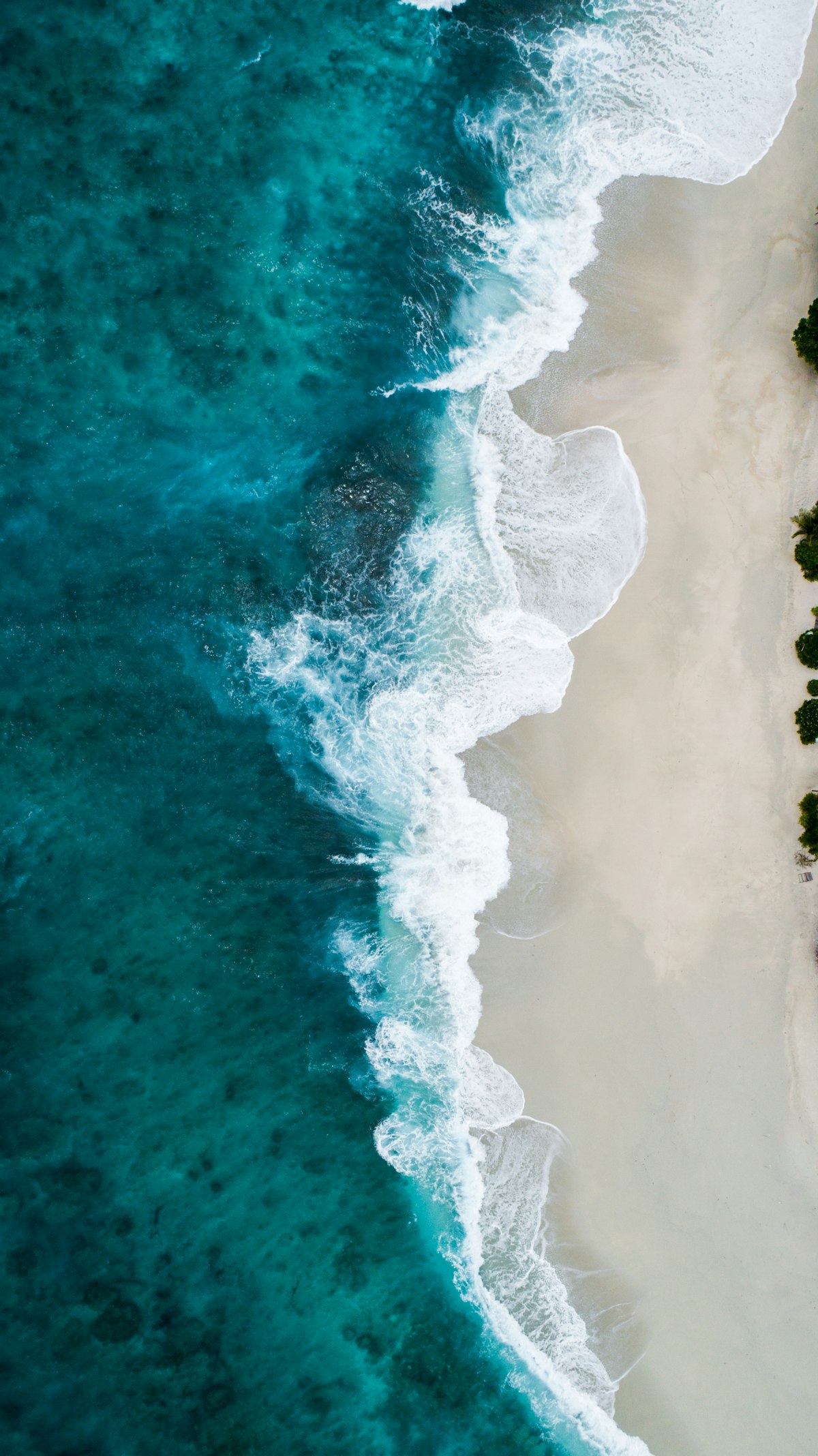 La plage en hiver : contre-saison et beauté retrouvée