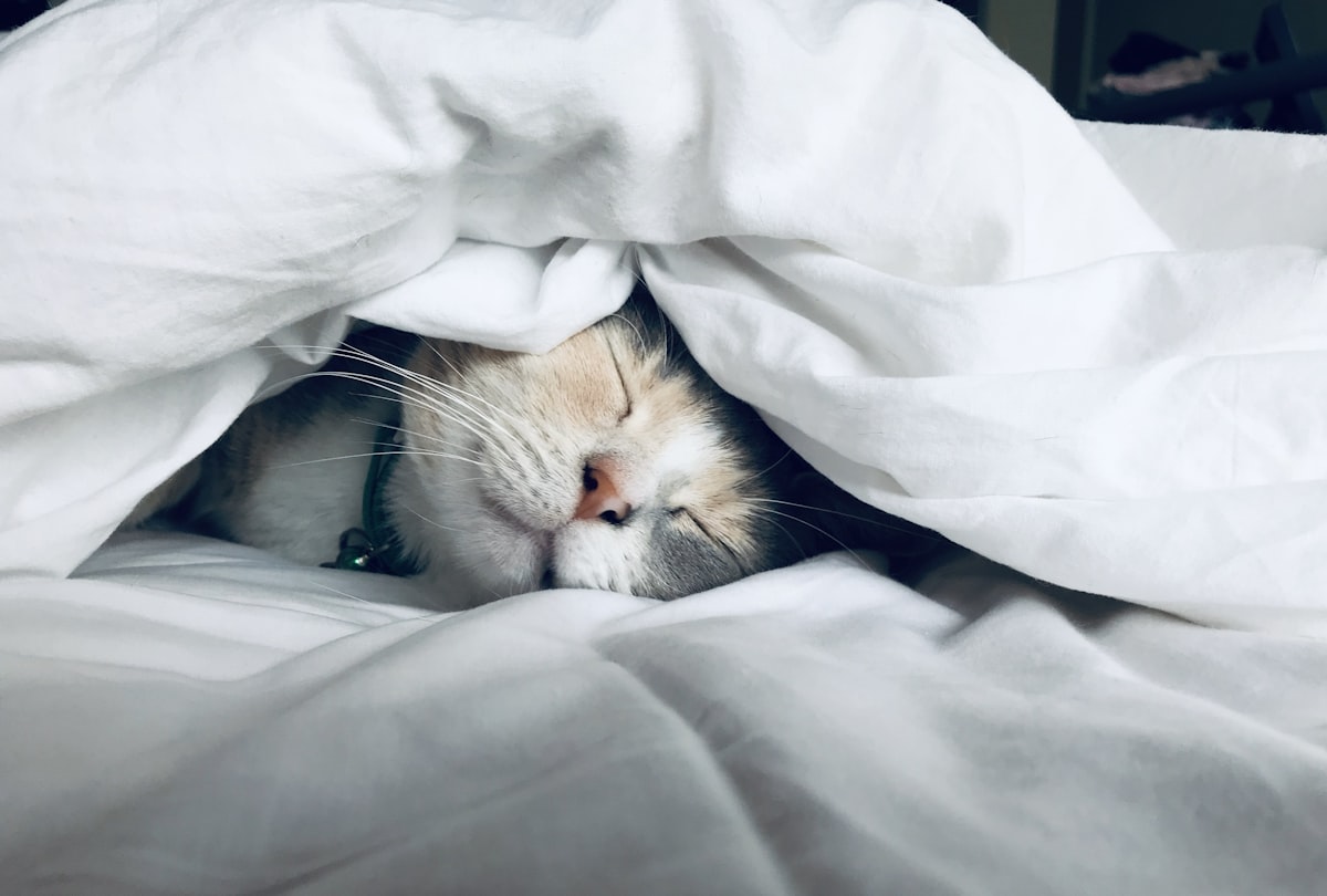 Dormir mieux : ce que la science dit vraiment